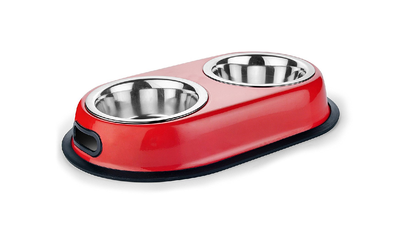 Dog Bowl